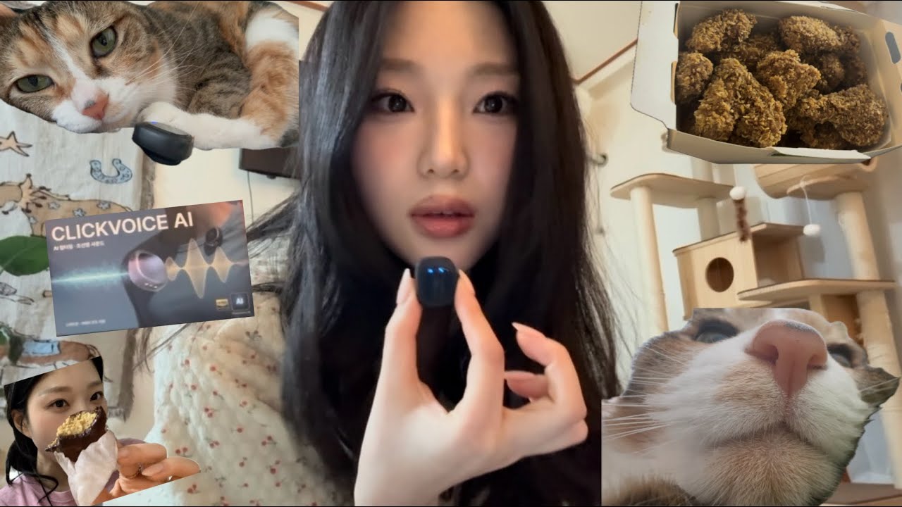 이 여자는 두쫀쿠를 매일 먹나요(네니오) | 분홍이 그루밍 ASMR | 닭발먹고 콰삭킹 먹고 | 가성비 무선 마이크 | 퀸가비 퀸즈나잇 보면서 토론
