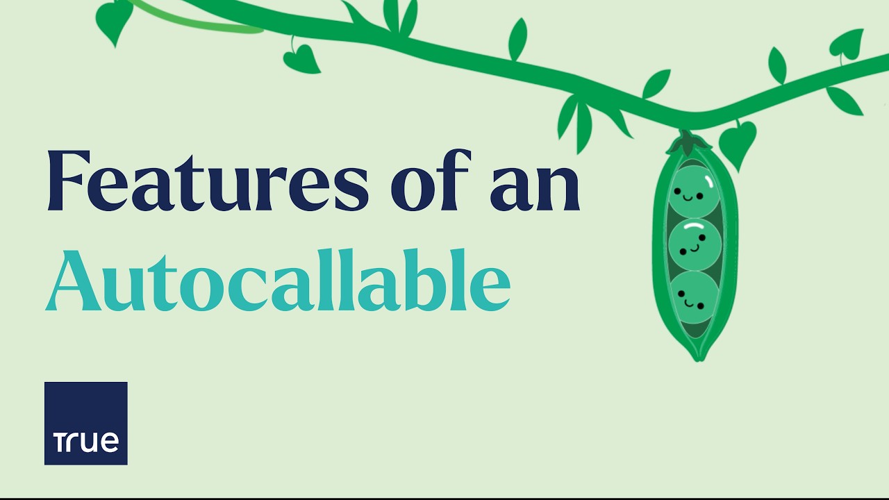 Features of an Autocallable - PAYH & PAYM
