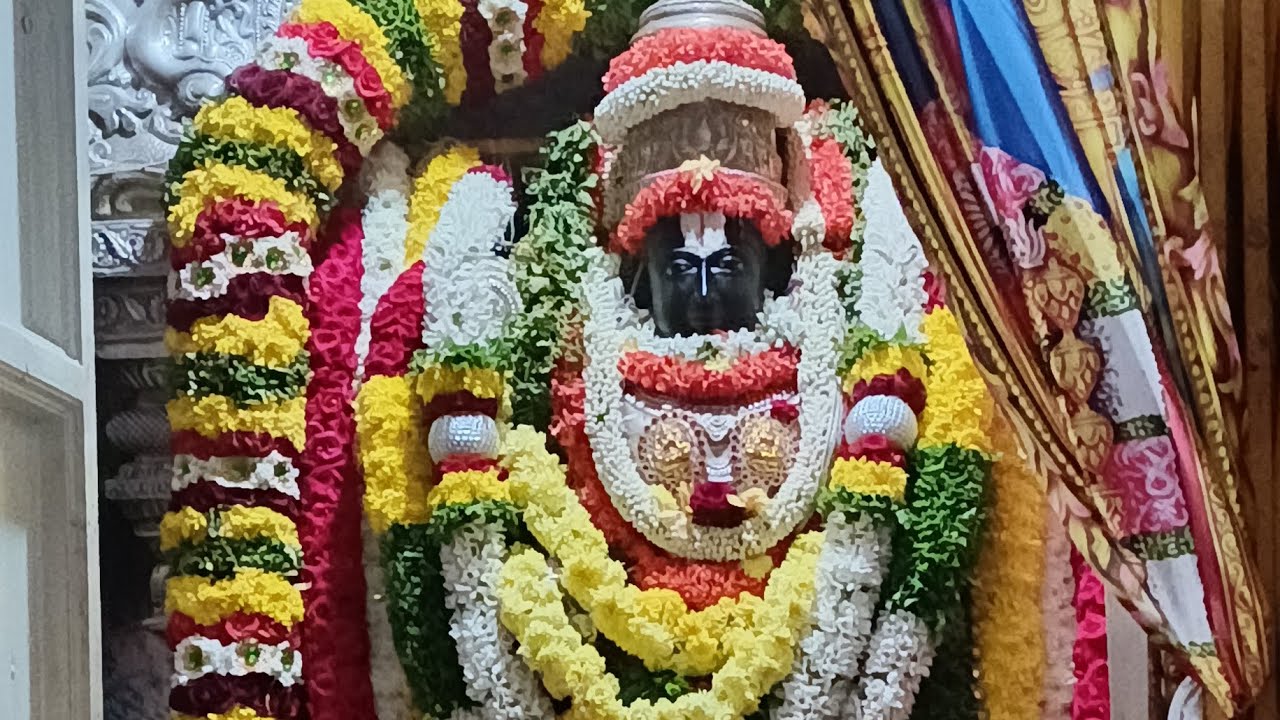 ವೈಕುಂಠ ಏಕಾದಶಿ vlogs 