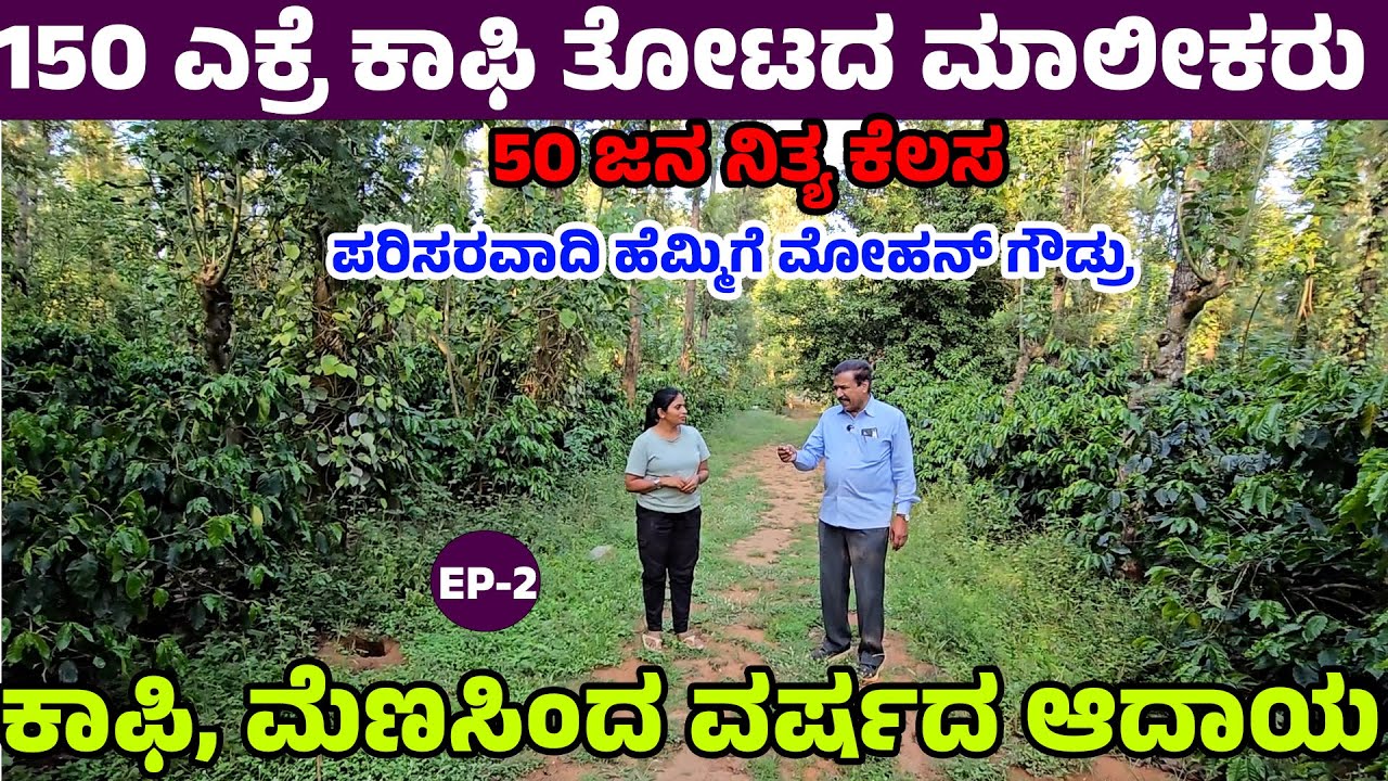 150 ಎಕ್ರೆ ಕಾಫಿ ತೋಟದ ಜಮೀನ್ದಾರು  ! 50 ಜನ ನಿತ್ಯ ಕೆಲಸ ! ಕಾಫಿ, ಮೆಣಸಿಂದ ವರ್ಷದ ಆದಾಯ - Hemmige Mohan Gowda-2