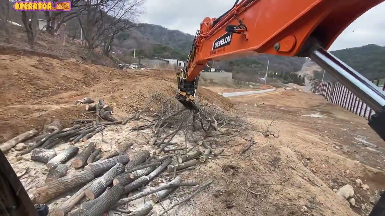 플륨관 자리 정리 및 벌목지원