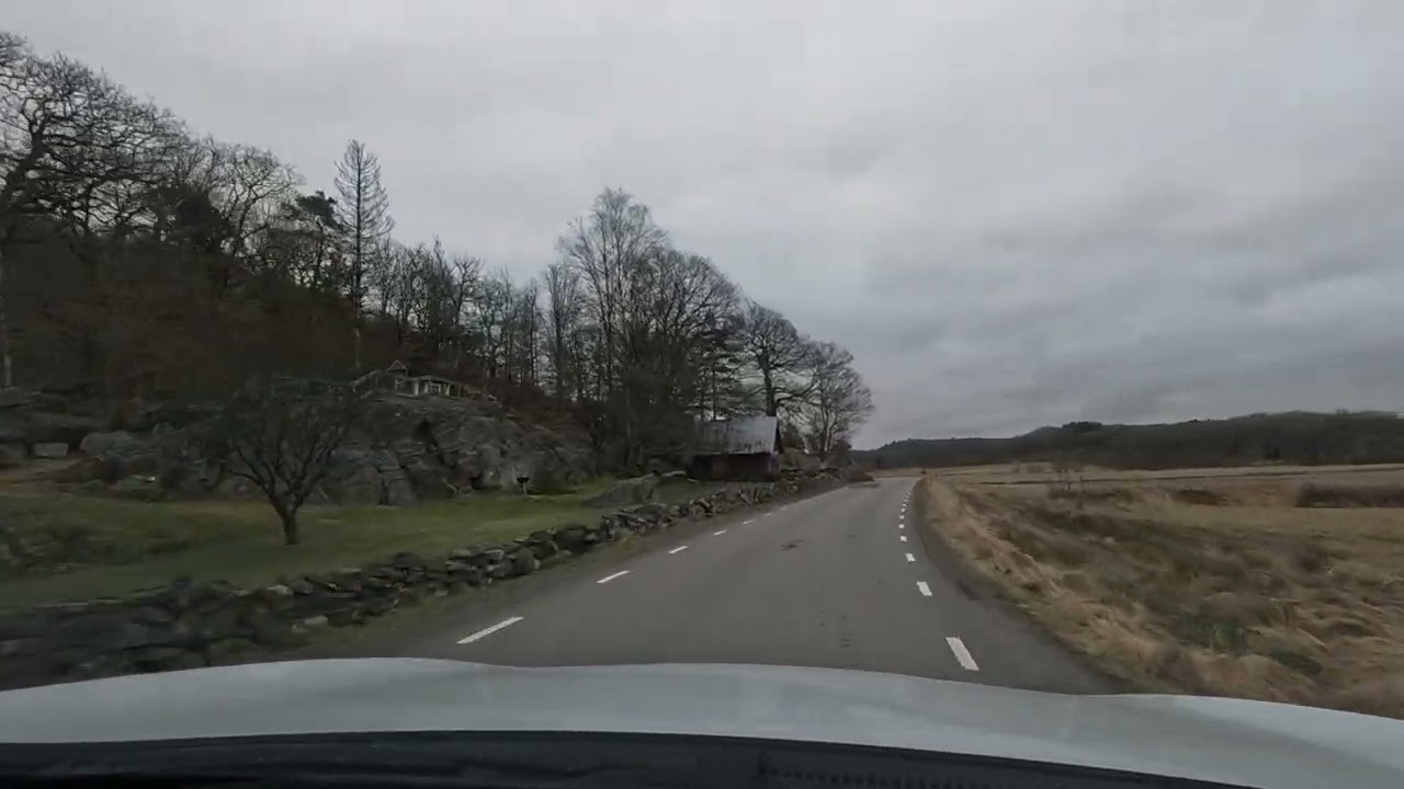 VEDDIGE SUECIA