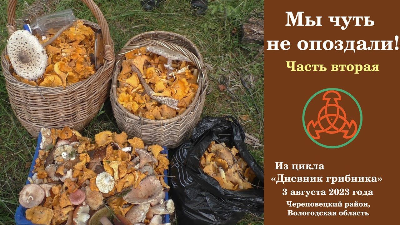 Мы чуть не опоздали! Часть вторая. 