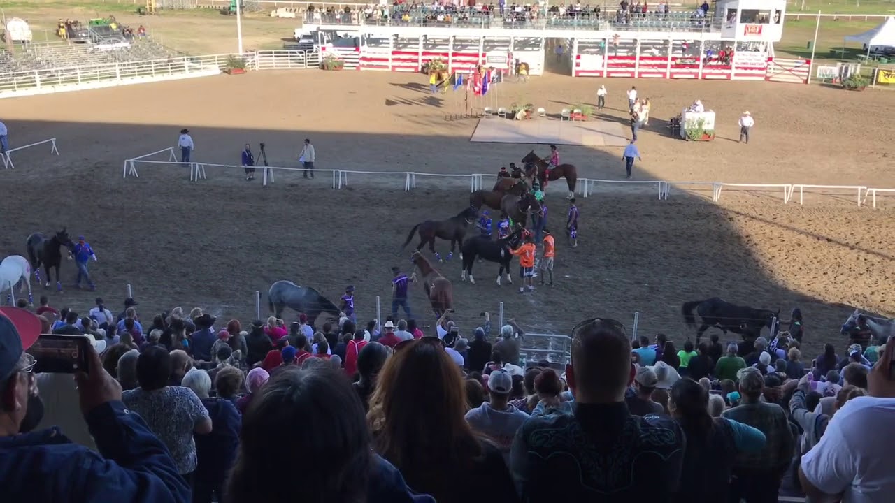 Horse Nations Indian Relay Council - Champion of Champions Indian Relay