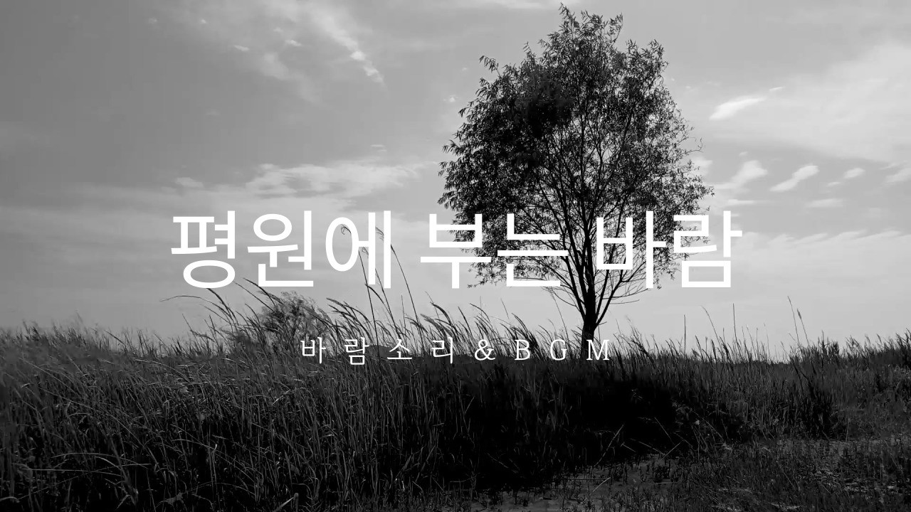 평원에 부는 바람 On the Windy Plains