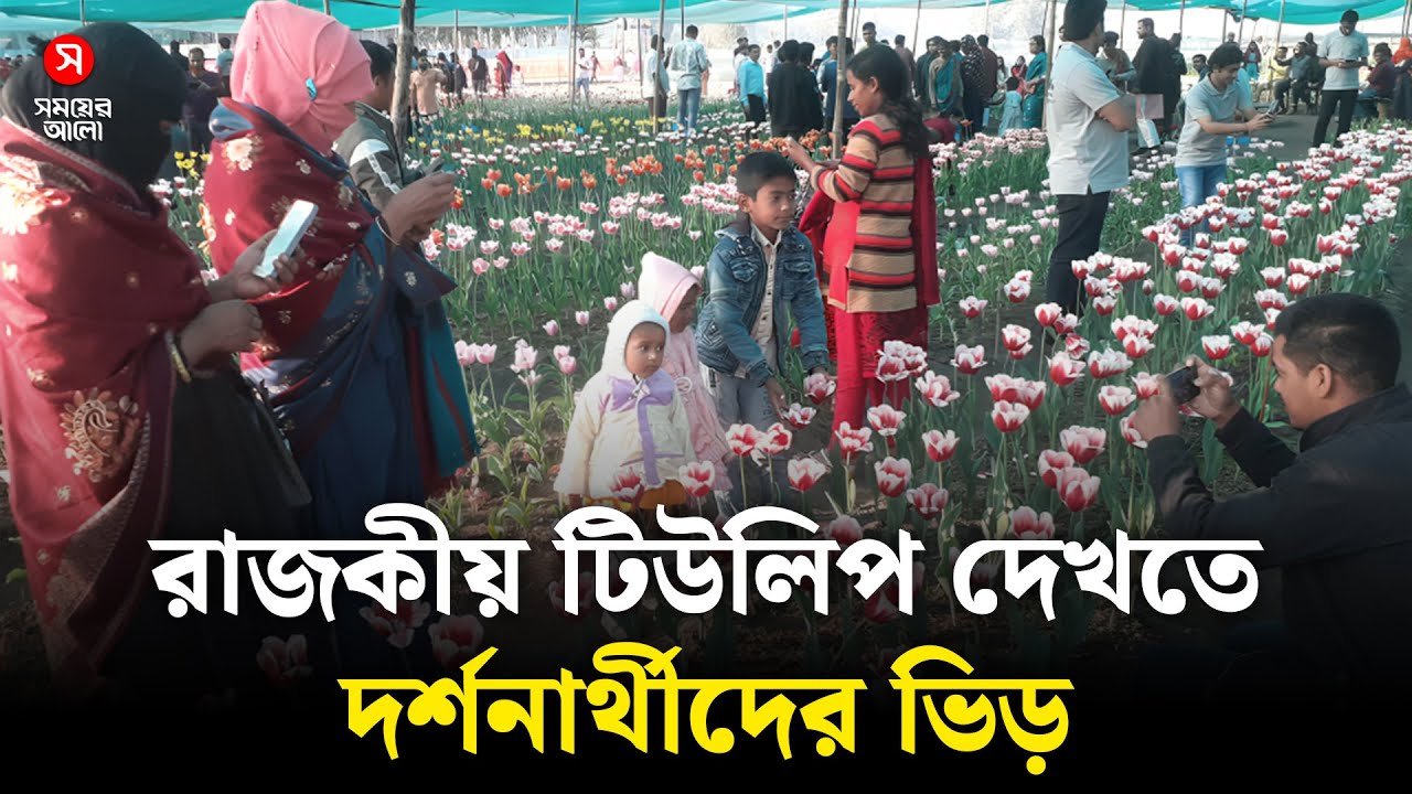 রাজকীয় টিউলিপ দেখতে দর্শনার্থীদের ভিড় | Royal Tulip | Panchagarh | Shomoyer Alo