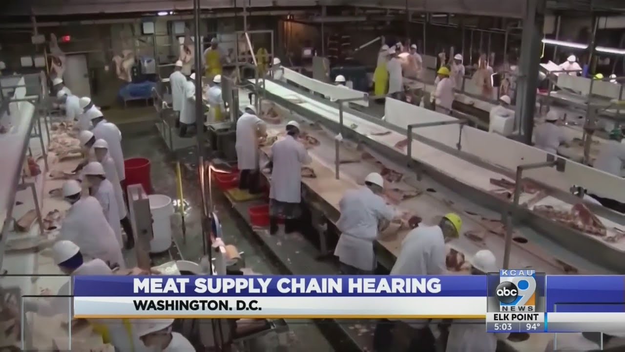 Meat supply chain hearing