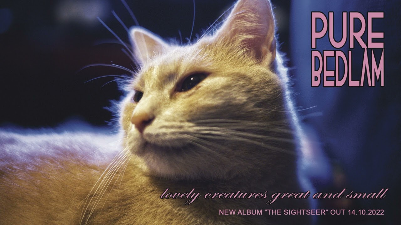 Pure Bedlam - Lovely Creatures Great and Small (Official Audio)