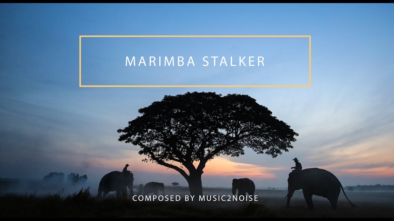 Marimba Background music