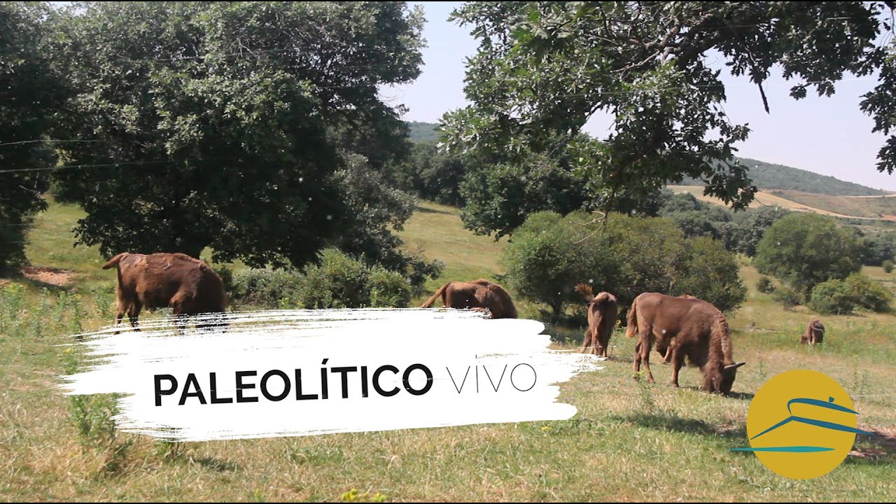 PALEOLÍTICO VIVO - BURGOS