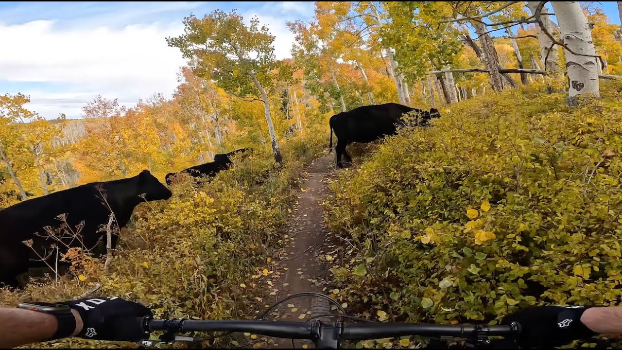 The WHOLE Enchilada Pt1 of 3 Burro Pass - MOAB MTB | The Oz Life #mtb #raw #moab #clean