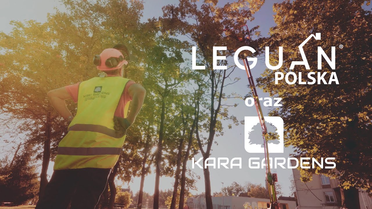 Leguan 190 & Kara Gardens - pielęgnacja drzew na terenie szkoły
