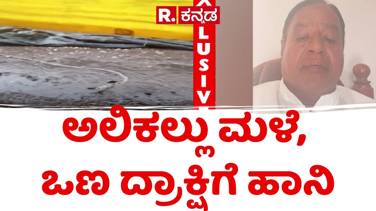 Athani grape damage | ಅಕಾಲಿಕ ಮಳೆಯಿಂದ ದ್ರಾಕ್ಷಿ‌ ಬೆಳೆಗಾರರು ಕಂಗಾಲು