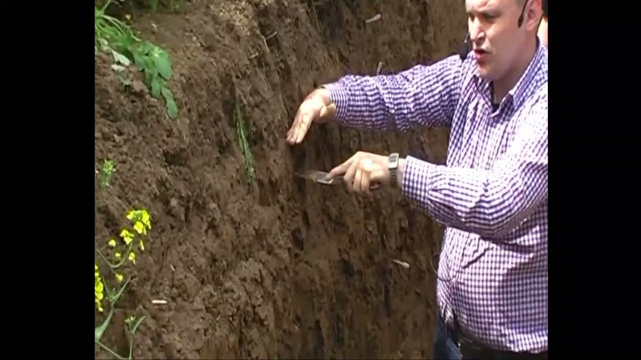 PRP Polska field demonstration part 1