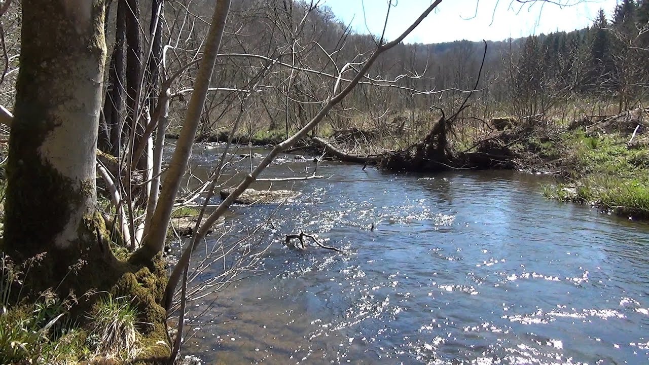De Presgaux &agrave; Br&ucirc;ly-de-Pesche par la vall&eacute;e de l'Eau Noire