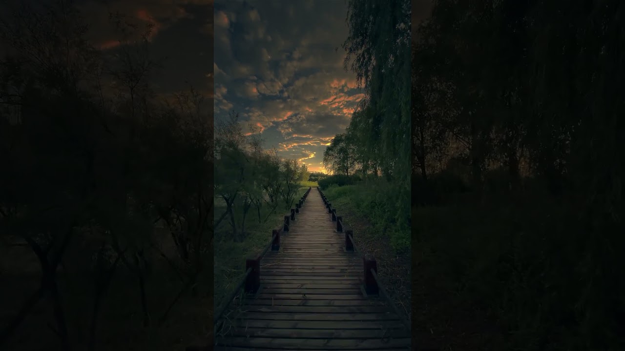 Nature Videos 30 Seconds | Background Video Nature | #nature #video #4k #shorts #trending #viral