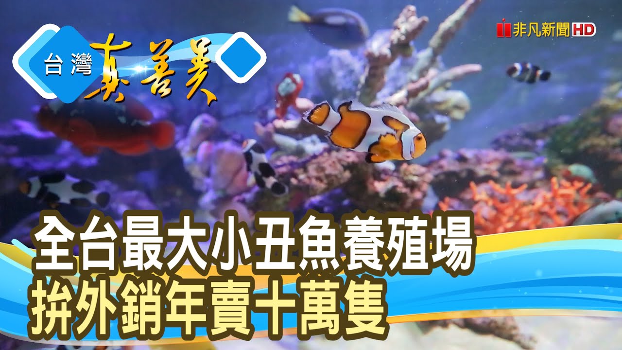 勇闖世界的“MIT小丑魚”｜盛天合生物科技股份有限公司｜【台灣真善美】2025.04.20