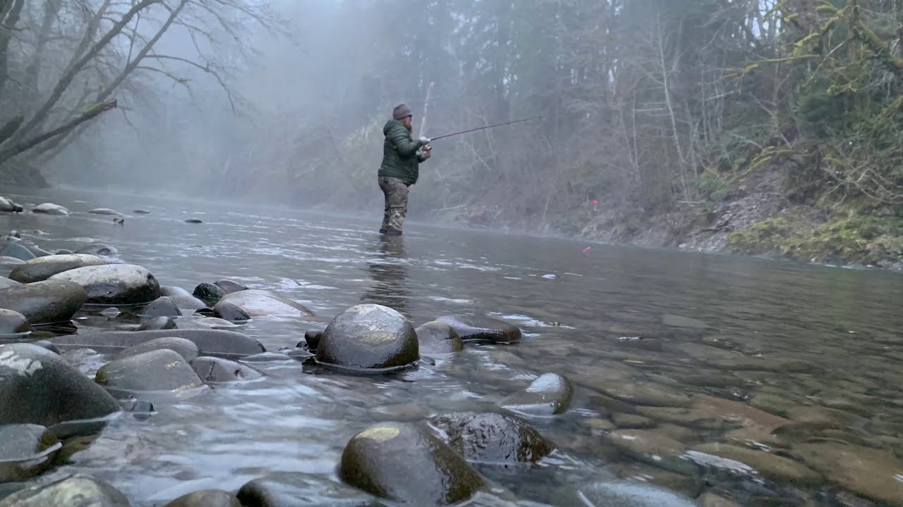 Winter steelhead Washington state