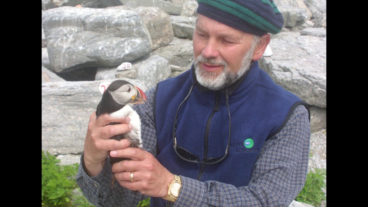 Project Puffin NHD Documentary