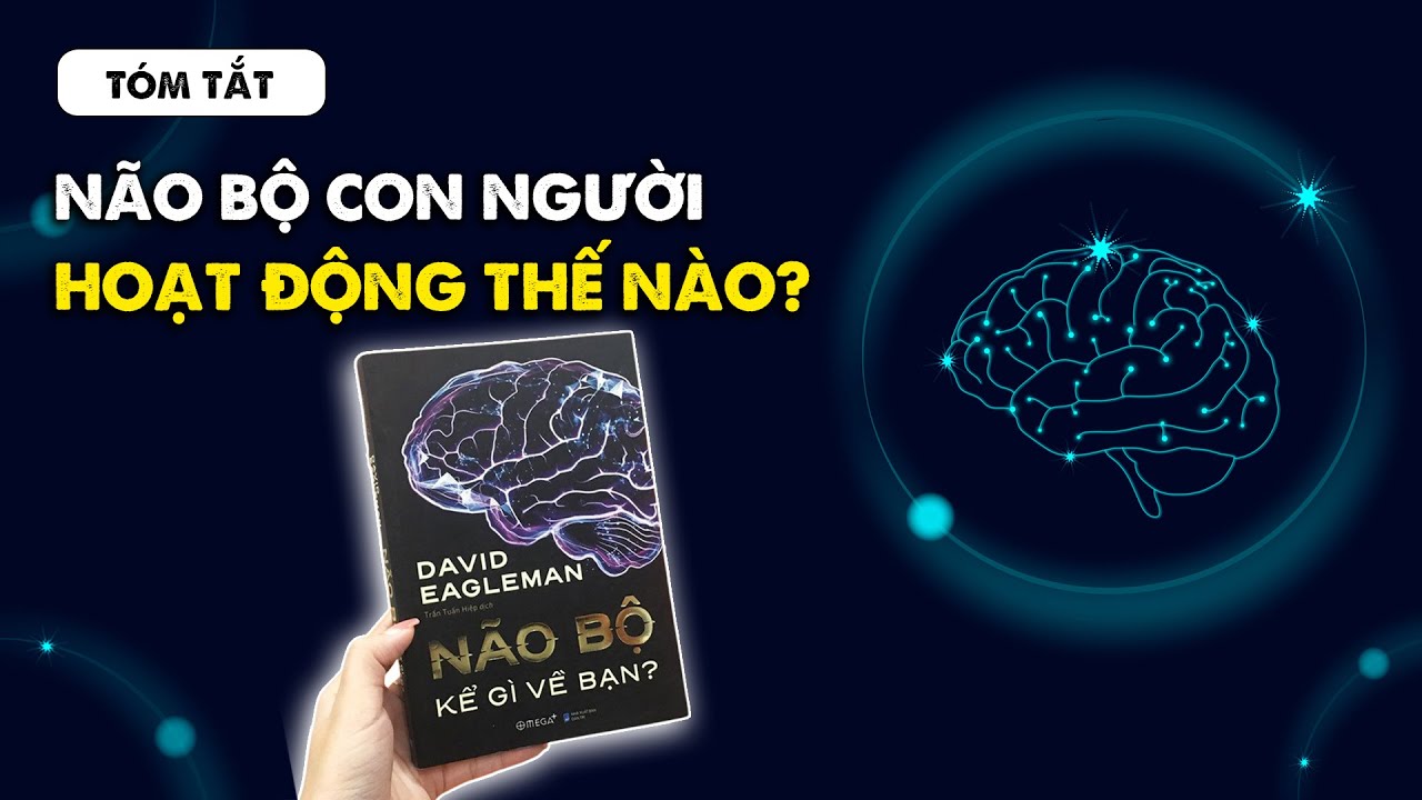 Hiểu tất tần tật về n&atilde;o bộ con người trong 12 ph&uacute;t | Chloe Ch&acirc;u | Spiderum Books