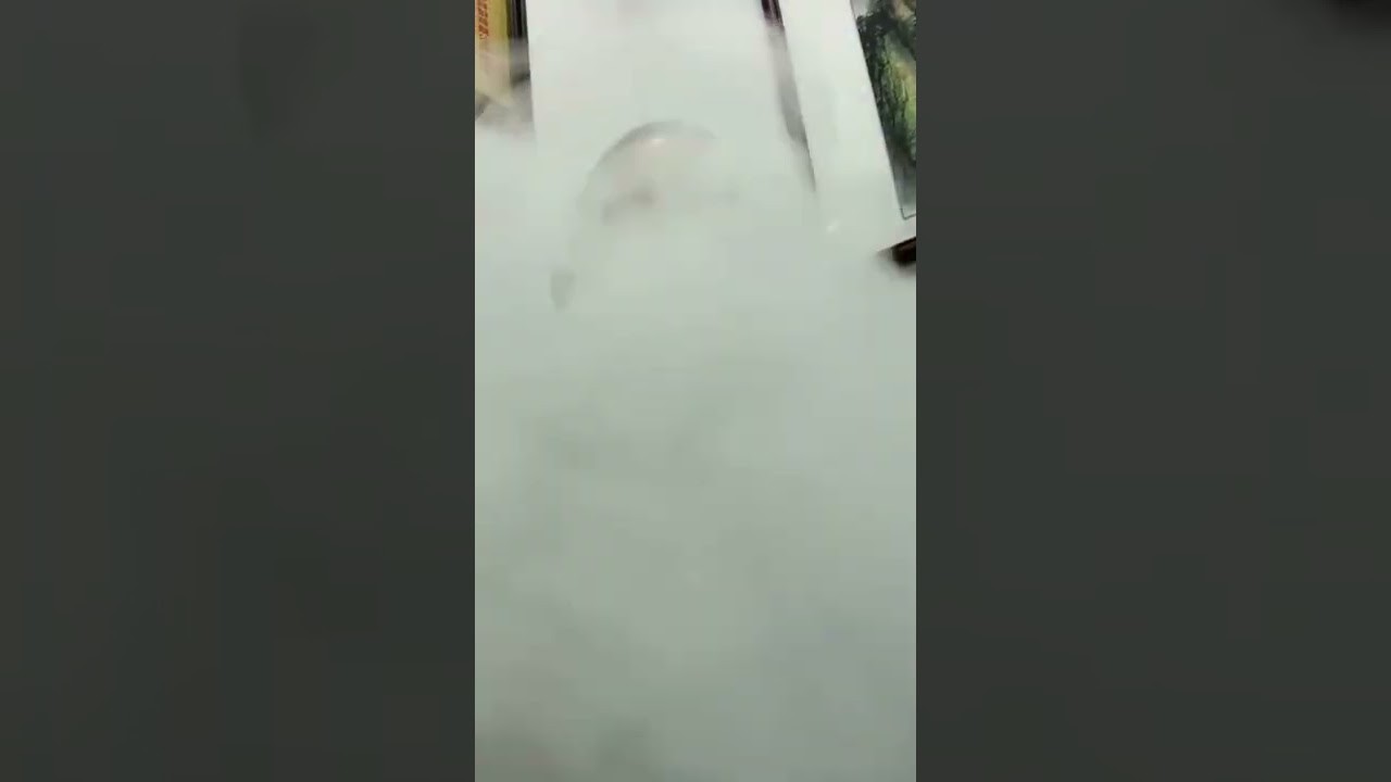 Best disposable vape RandM tornado 10000 puffs