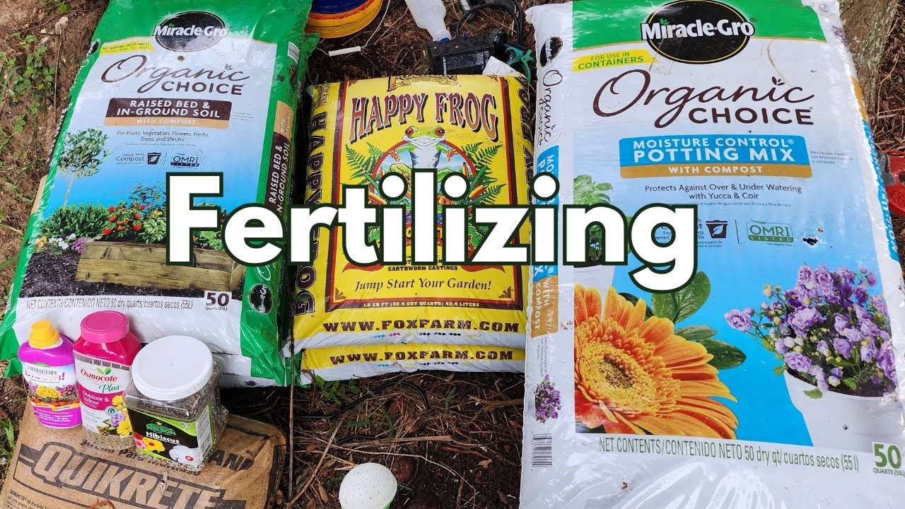 Fertilizing the garden in 2025 | Texas Gulf Coast Zone 9b | #butterfly #hummingbird #pollinators 🦋🐛
