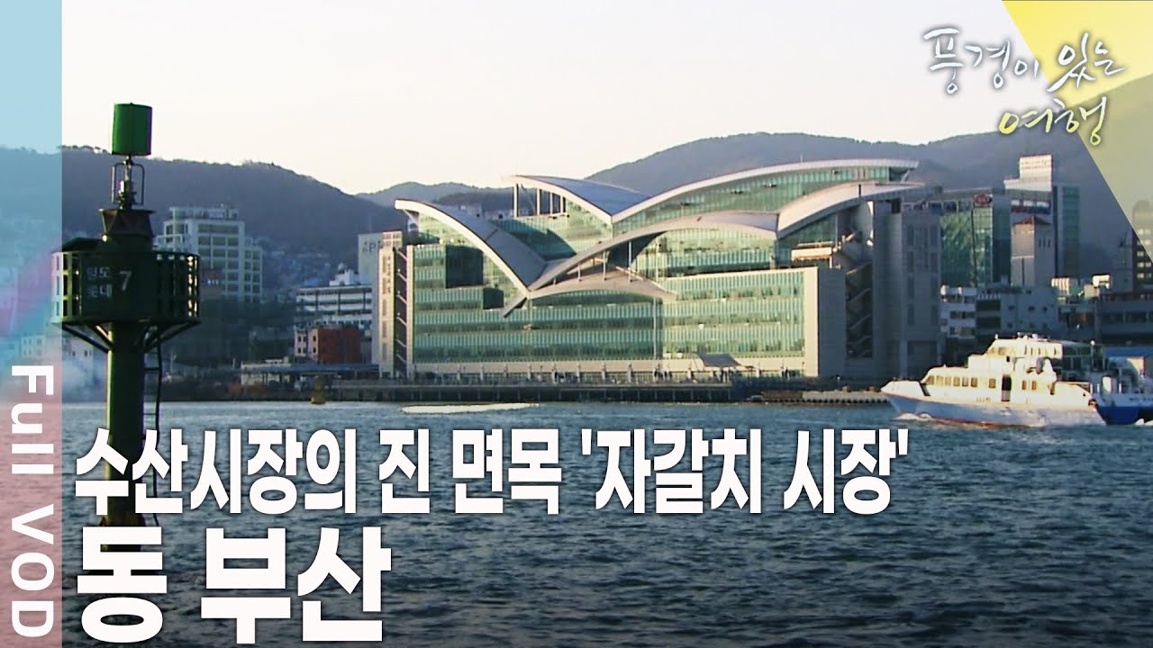 부산의 상징 '오륙도'와 부산의 명소 '자갈치 시장'이 있는 동 부산 여행 [풍경이 있는 여행 KBS 20100130 방송]