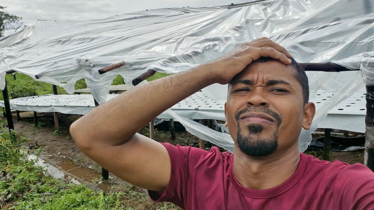 REALMENTE O PRODUTOR RURAL LEVA MUITO PREJUÍZOS