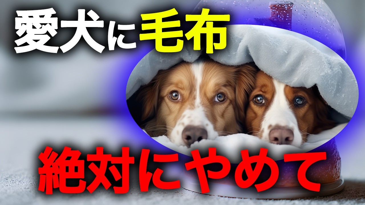 【寒さにご用心】冬の季節 愛犬にしてはいけない行動3選と適切の防寒対策