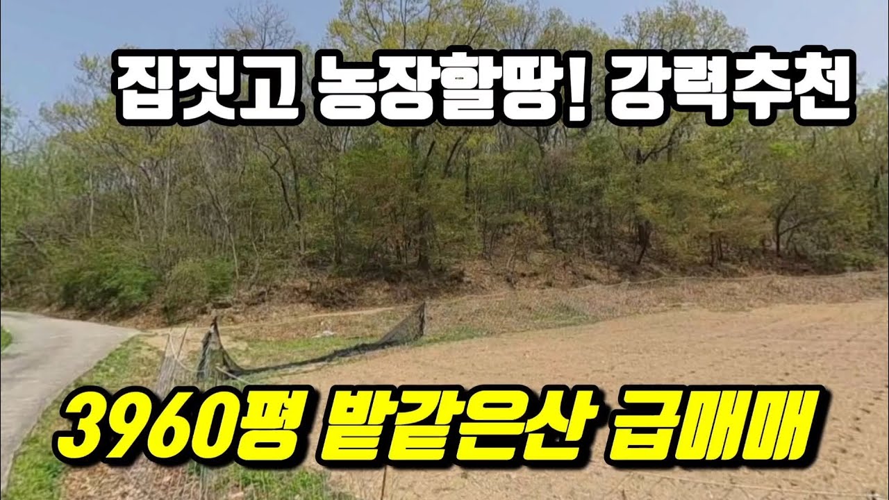 3960평 밭같은산 너무급해                    엄청 싼가격에 급매매 강력추천 