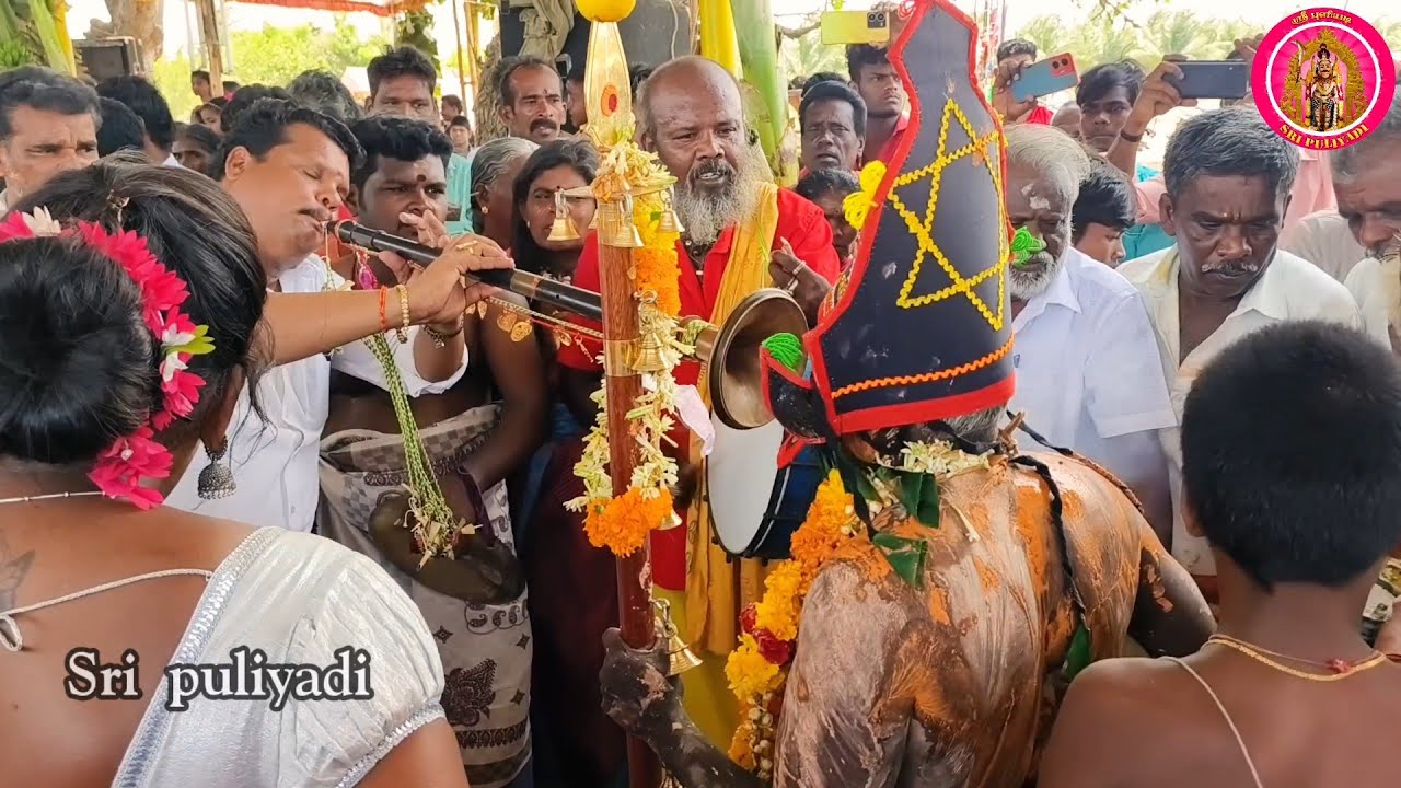 மையானம் செல்ல வராமல் இருந்த மாயாண்டி | மேளமும் மகுடமும் கொம்பு தப்பும் அடிச்சு தான் பாக்குறாங்க