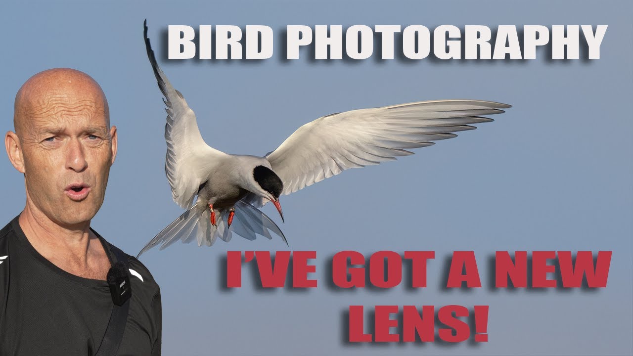 BIRD PHOTOGRAPHY WITH THE SONY A1 - "I HAVE A NEW LENS!"