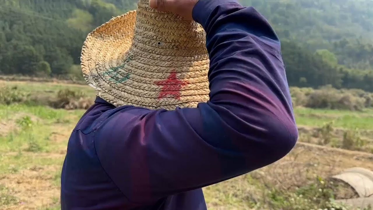 一头牛说下仔就下，养了几年的牛第一次看生出一头小黑牛。 #农村创业养殖 #养殖不易每天记录 #三农 #养殖人加油