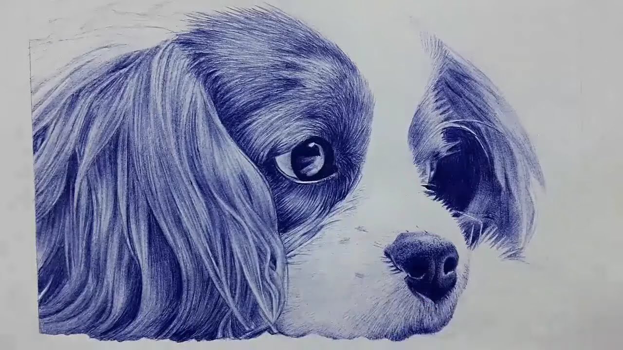 Dibujando un perro realista con boligrafo|Speed Drawing