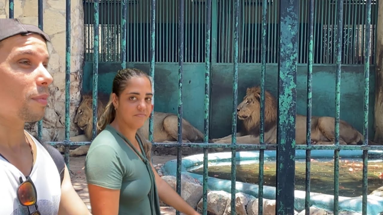 Así está el ZOOLÓGICO de LA HABANA. NOS SORPRENDIÓ 😳. @The Spartan Vlog