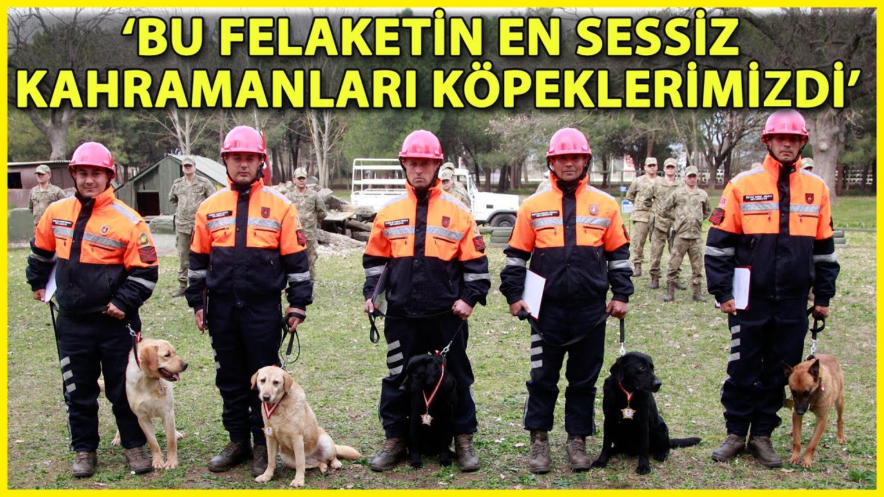 TSK’nın Arama Köpekleri 78 Kişiyi Kurtardı; 'Sessiz Kahramanlar' Madalya ile Ödüllendirildi