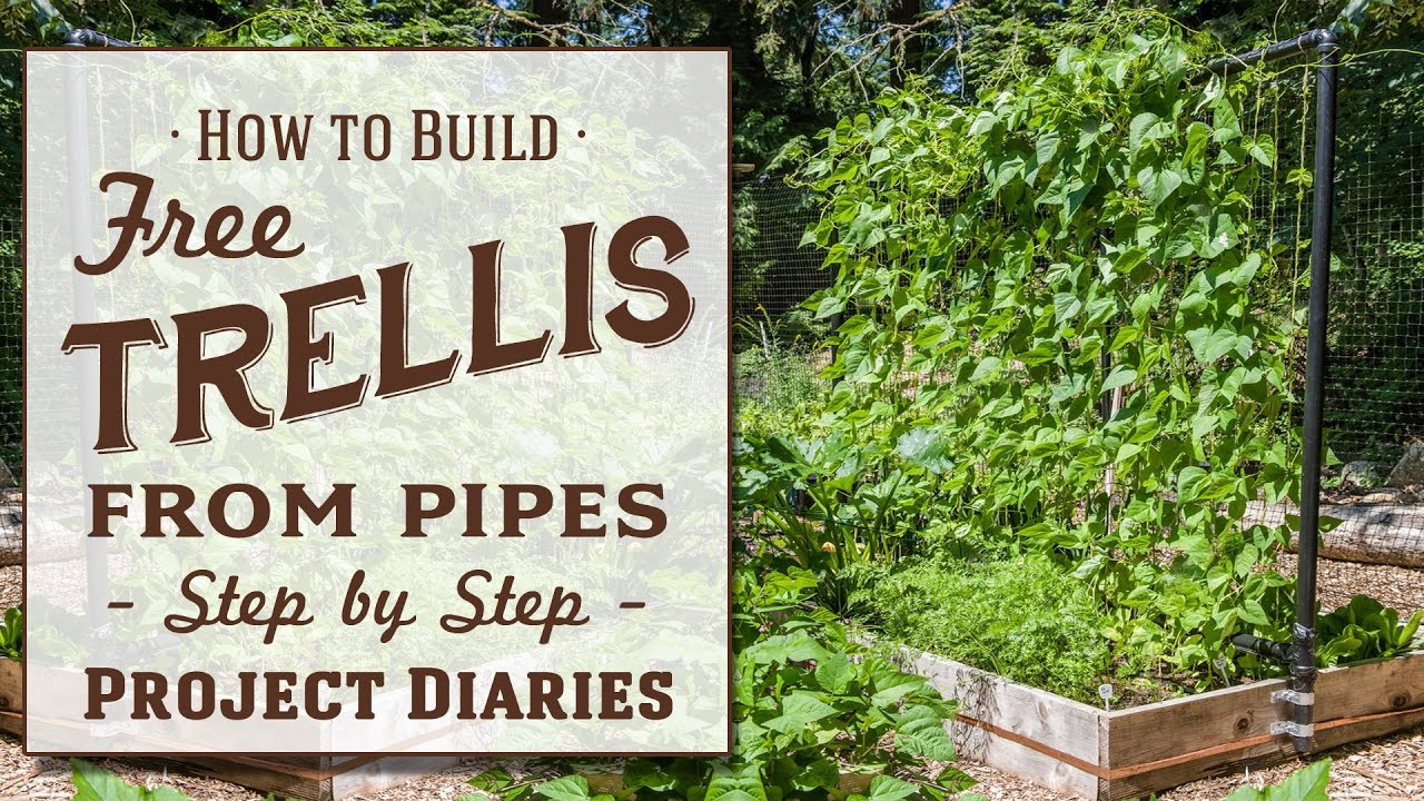 ★ How to: Make A Free Trellis from Pipes (A Complete Step by Step Guide)