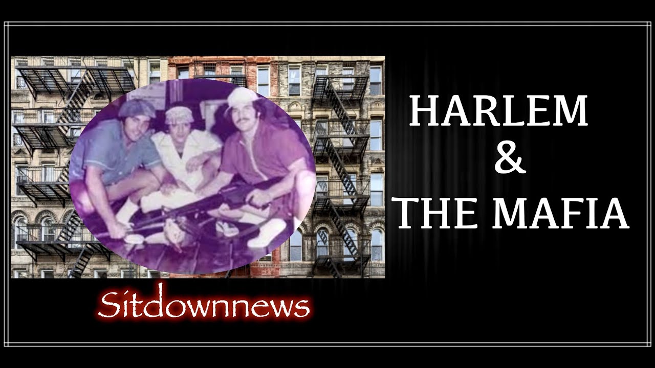 Harlem & [ the mafia ]