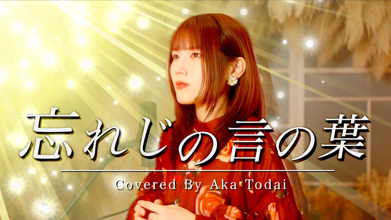 忘れじの言の葉 / 灯橙あか cover