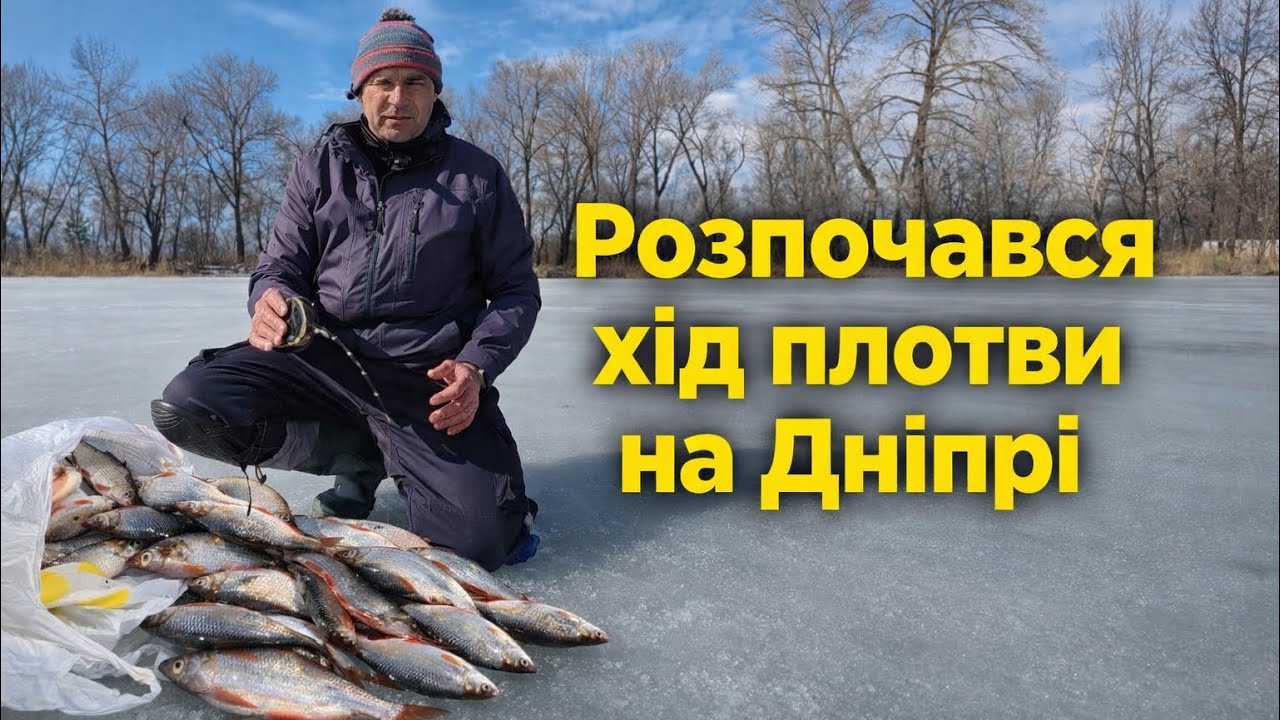 Нарешті розпочався хід плотви на Дніпрі.Ловимо рибу гірляндою #дозариболовлі #fishing #гірлянда 