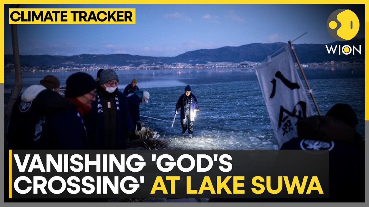 &lsquo;God&rsquo;s Crossing&rsquo; Vanishes at Lake Suwa: Japan&rsquo;s Sacred Ice Threatened by Climate Change | WION