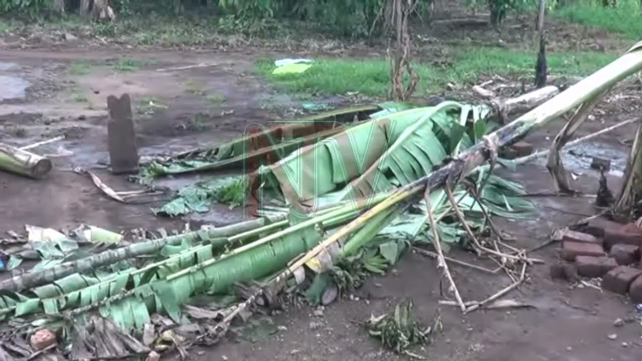 Hailstorm destroys houses, food gardens in Mpungwe village