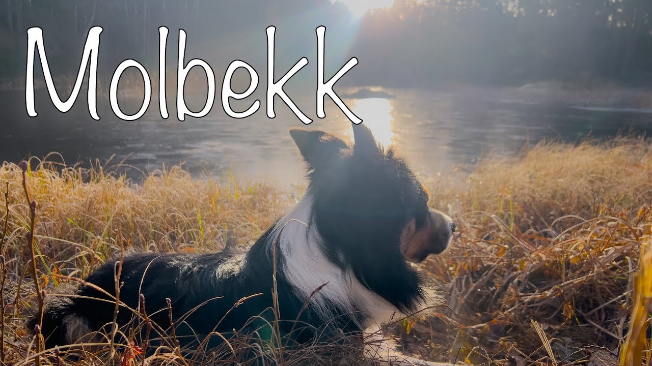 Rotenon i Molbekk-Tjernet: Derfor er skogsturen med Leo mer konfliktfylt enn jeg trodde!