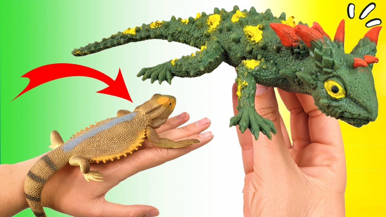LAGARTOS GIGANTES  BLANDITOS | BIG ANIMAL WORLD | Animales Salvajes INCREIBLES