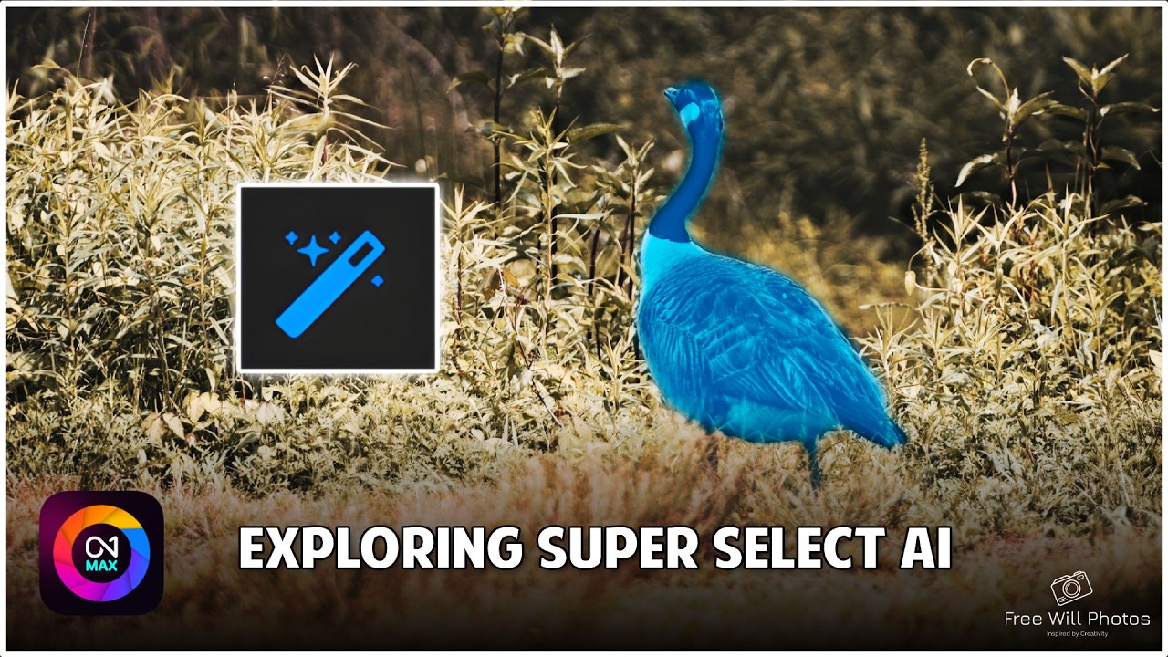 Localized Adjustments Made Easy With Super Select AI In ON1 2026