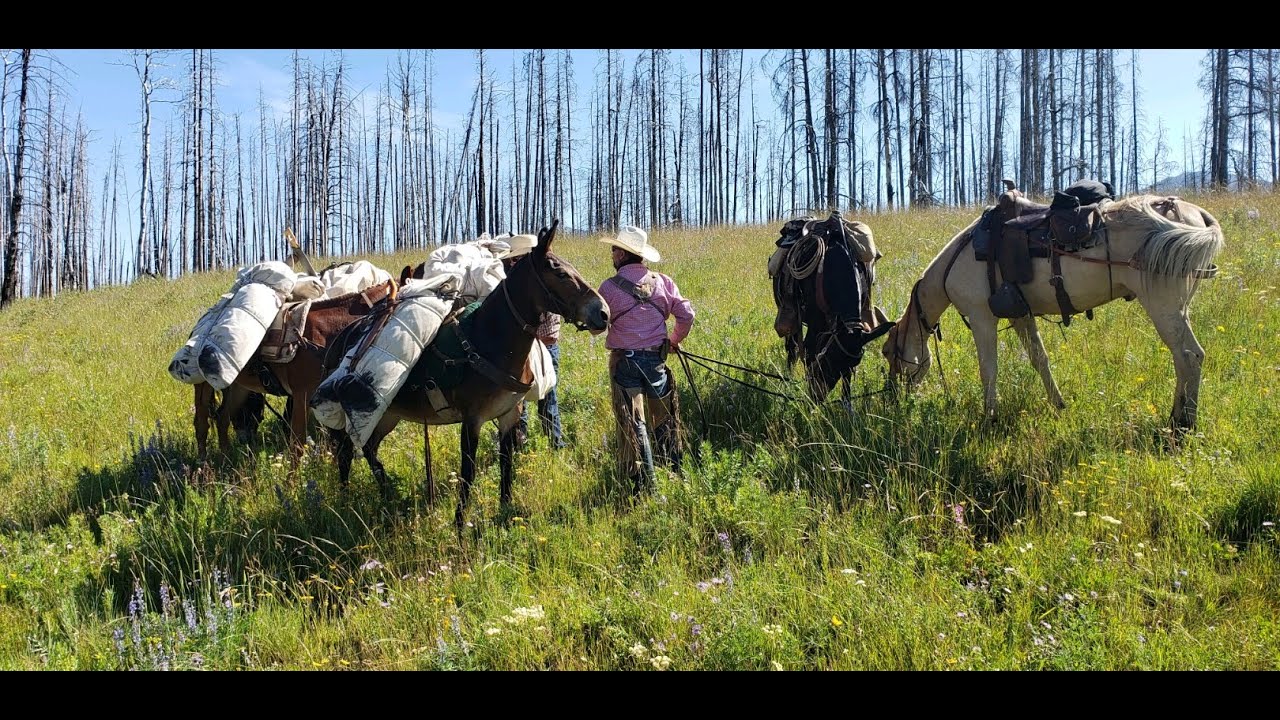 Bob Marshall Wilderness Pack Trip