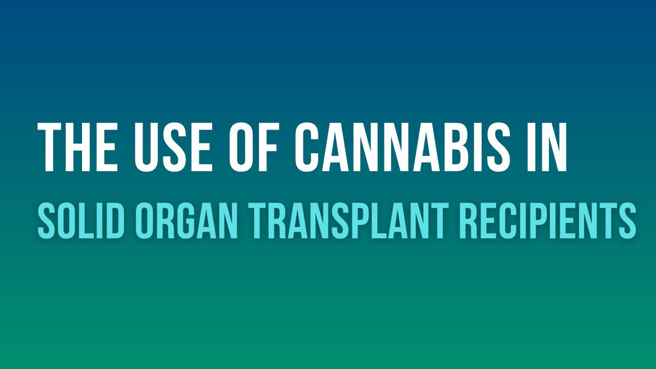 The Use of Cannabis in Solid Organ Transplant Recipients