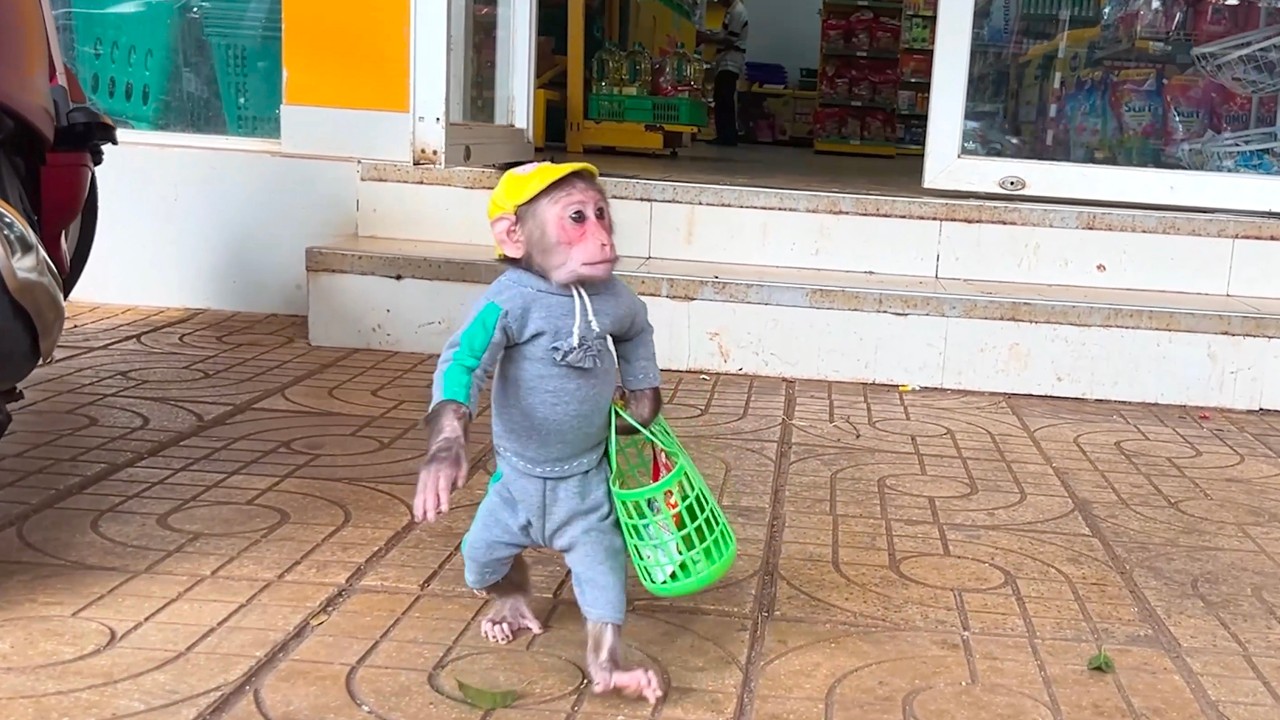 Too Cute! CUBIS Helps Dad Grocery Shopping