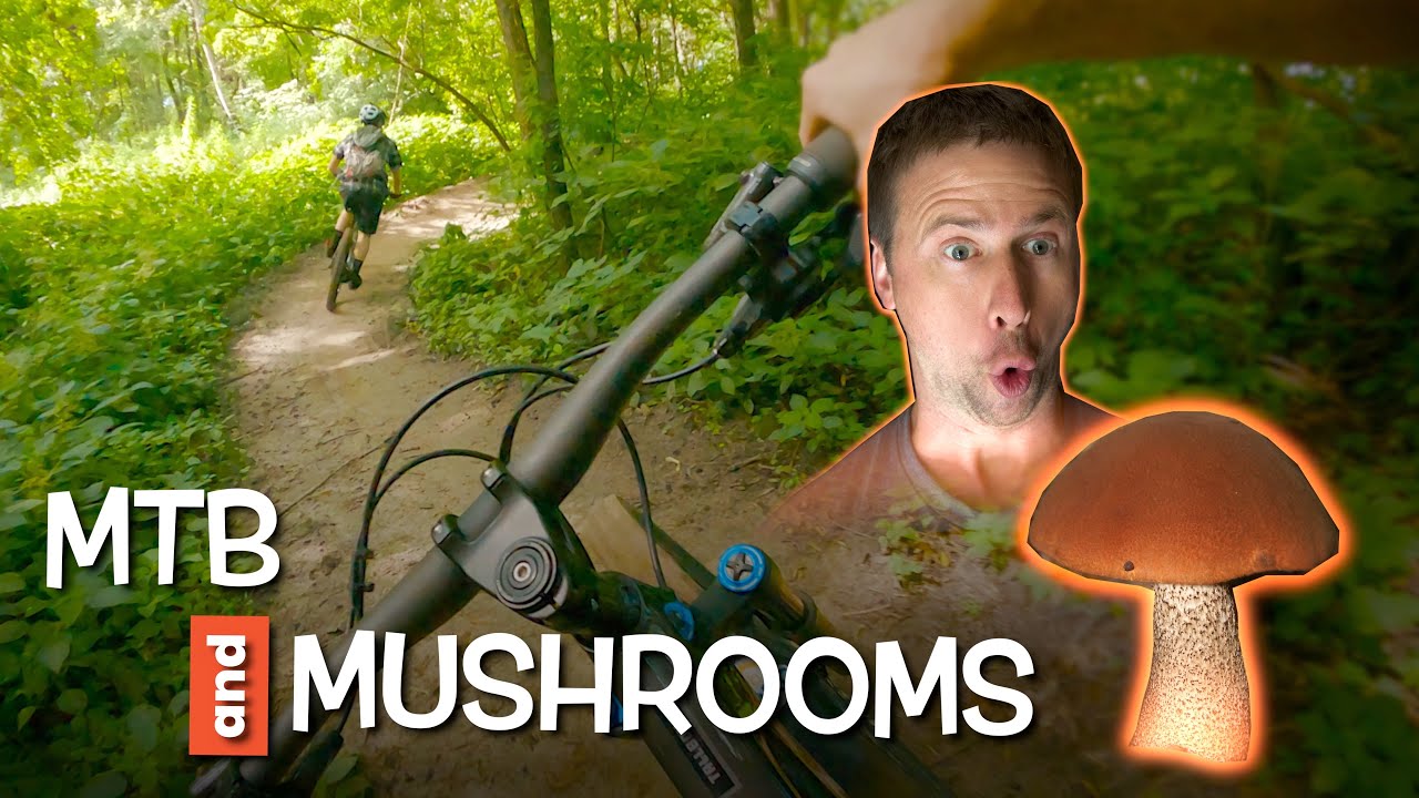 Mountain Biking and Mushrooms | Rice Creek Park Reserve | Lino Lakes, MN