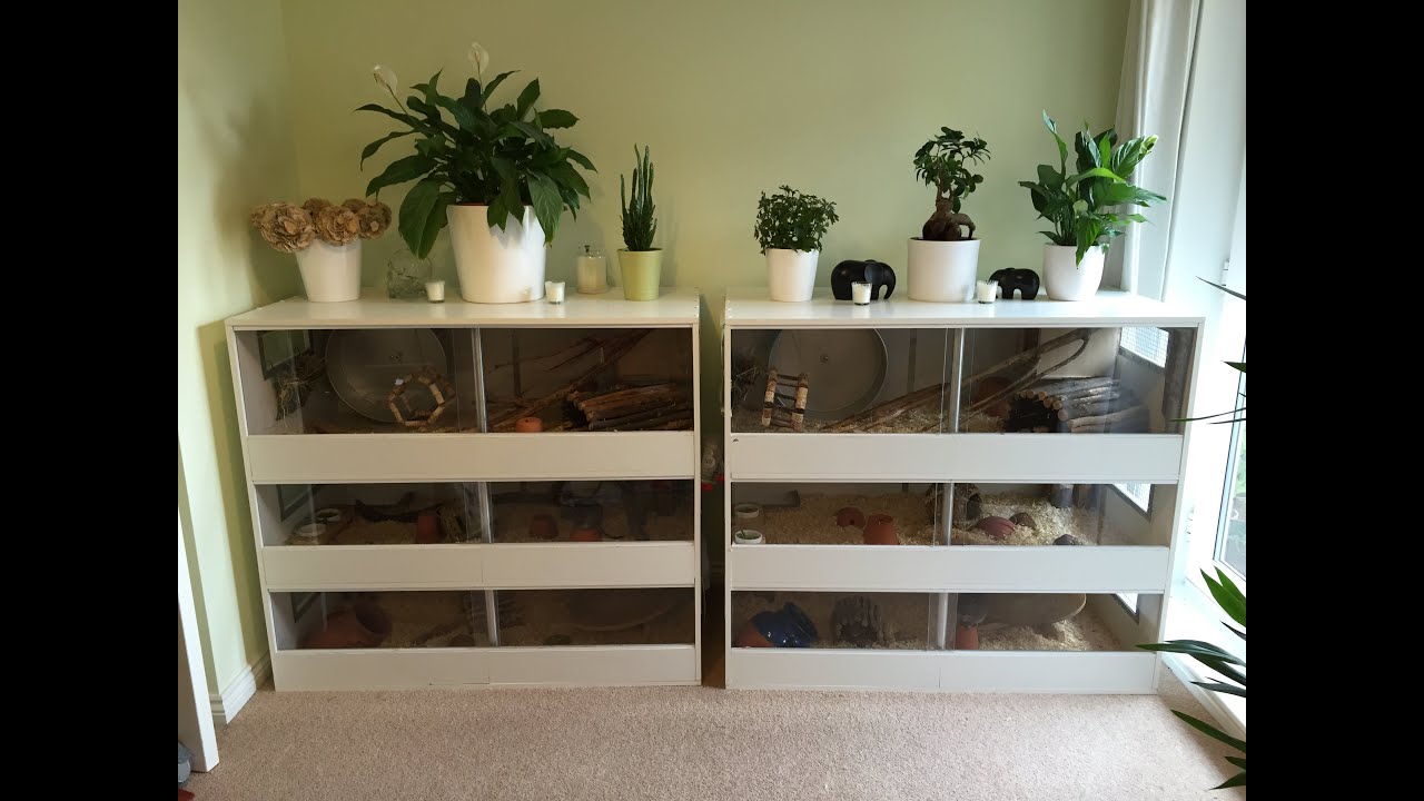 DIY Homemade Degu Cage Tour
